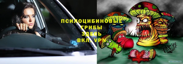спиды Анива