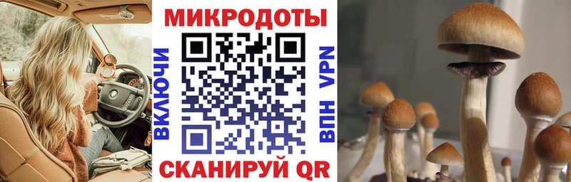 Галлюциногенные грибы мухоморы Шарья